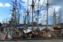 There are lots of tall ships in town for a regatta - 2